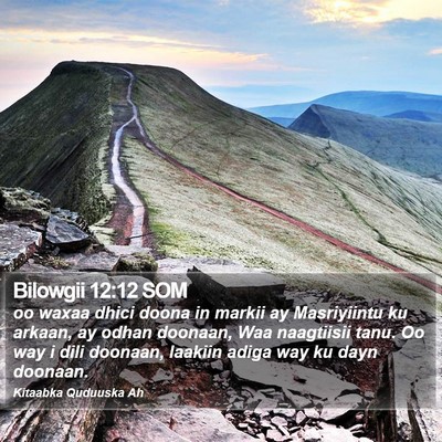 Bilowgii 12:12 SOM Bible Verse Image