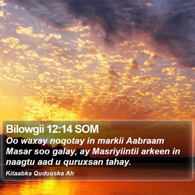Bilowgii 12:14 SOM Bible Verse Image