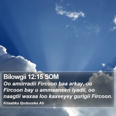 Bilowgii 12:15 SOM Bible Verse Image