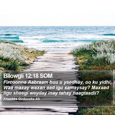 Bilowgii 12:18 SOM Bible Verse Image