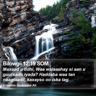 Bilowgii 12:19 SOM Bible Verse Image
