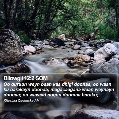 Bilowgii 12:2 SOM Bible Verse Image
