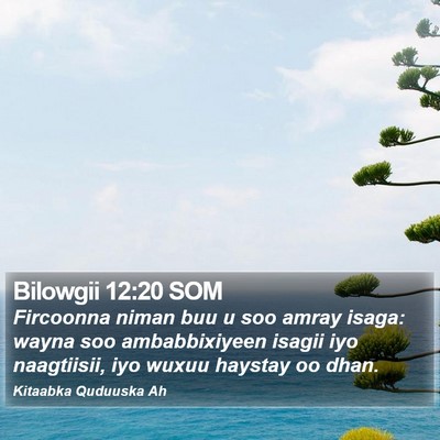Bilowgii 12:20 SOM Bible Verse Image