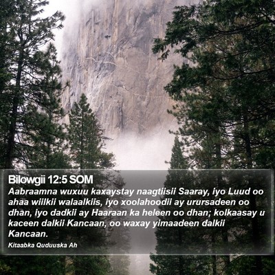 Bilowgii 12:5 SOM Bible Verse Image