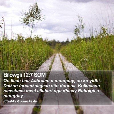 Bilowgii 12:7 SOM Bible Verse Image