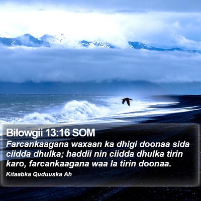 Bilowgii 13:16 SOM Bible Verse Image