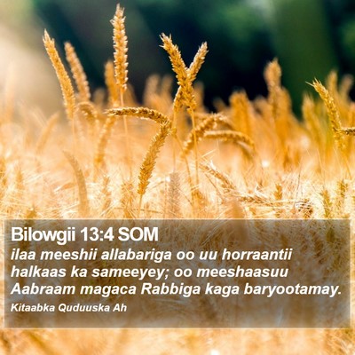 Bilowgii 13:4 SOM Bible Verse Image