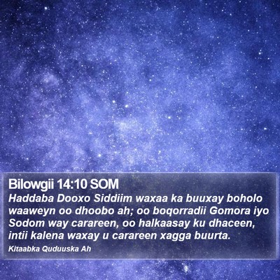 Bilowgii 14:10 SOM Bible Verse Image