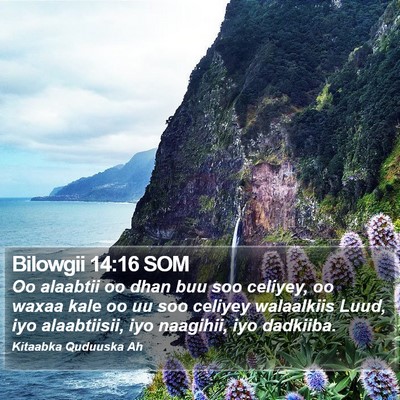 Bilowgii 14:16 SOM Bible Verse Image