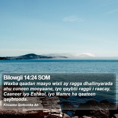 Bilowgii 14:24 SOM Bible Verse Image