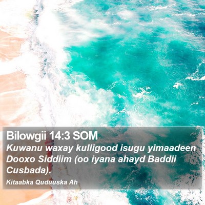 Bilowgii 14:3 SOM Bible Verse Image