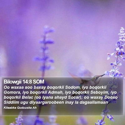 Bilowgii 14:8 SOM Bible Verse Image