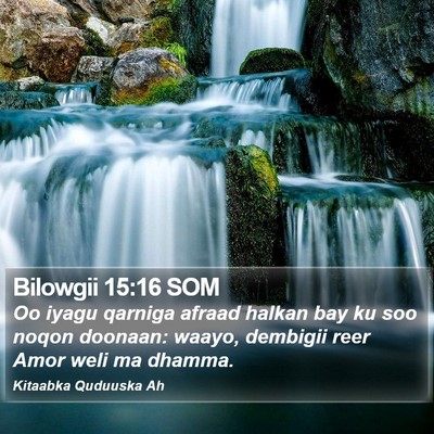 Bilowgii 15:16 SOM Bible Verse Image