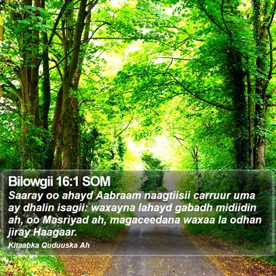 Bilowgii 16:1 SOM Bible Verse Image