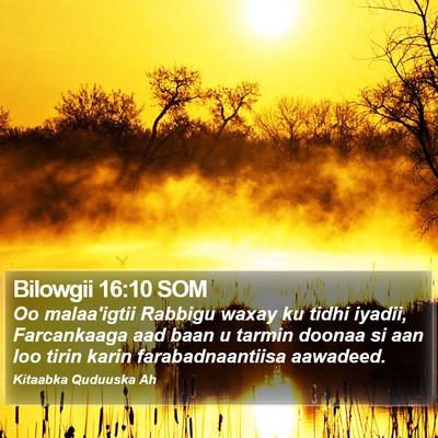 Bilowgii 16:10 SOM Bible Verse Image