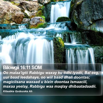 Bilowgii 16:11 SOM Bible Verse Image