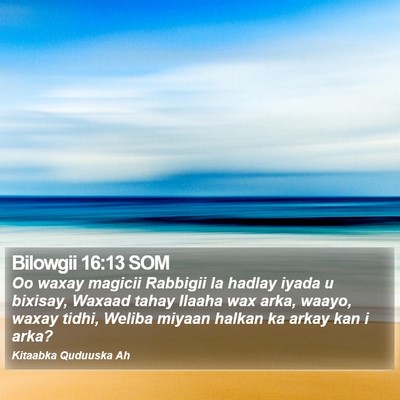 Bilowgii 16:13 SOM Bible Verse Image
