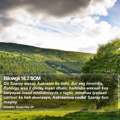 Bilowgii 16:2 SOM Bible Verse Image