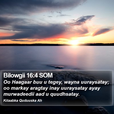 Bilowgii 16:4 SOM Bible Verse Image