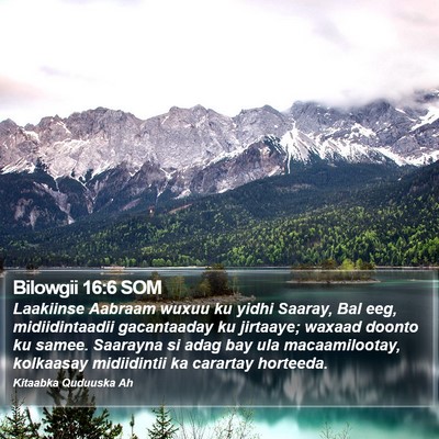 Bilowgii 16:6 SOM Bible Verse Image