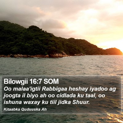 Bilowgii 16:7 SOM Bible Verse Image