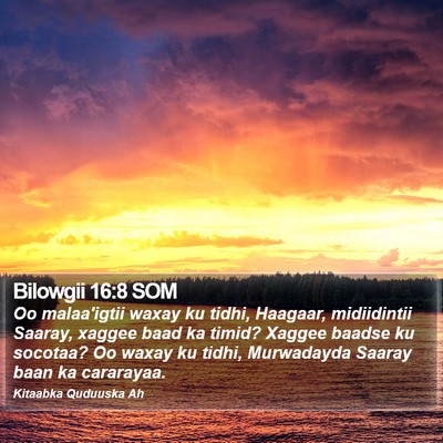 Bilowgii 16:8 SOM Bible Verse Image