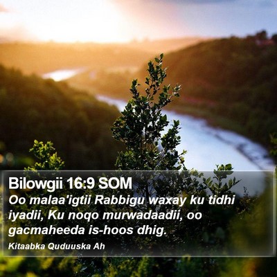 Bilowgii 16:9 SOM Bible Verse Image