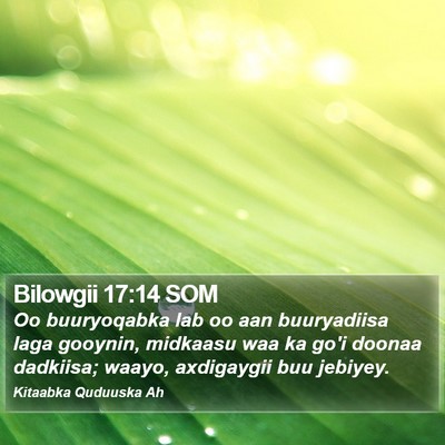 Bilowgii 17:14 SOM Bible Verse Image
