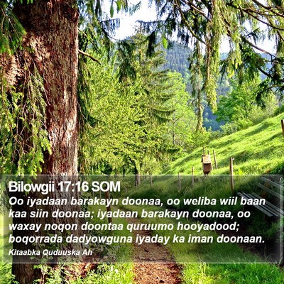 Bilowgii 17:16 SOM Bible Verse Image