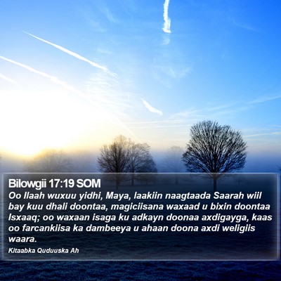 Bilowgii 17:19 SOM Bible Verse Image