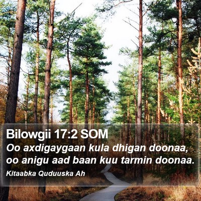 Bilowgii 17:2 SOM Bible Verse Image