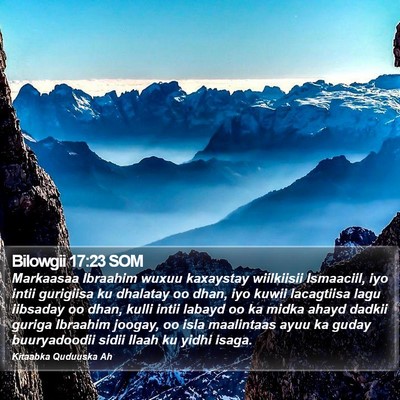 Bilowgii 17:23 SOM Bible Verse Image