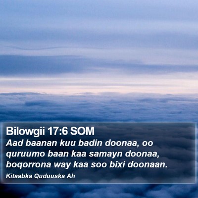 Bilowgii 17:6 SOM Bible Verse Image