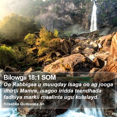 Bilowgii 18:1 SOM Bible Verse Image