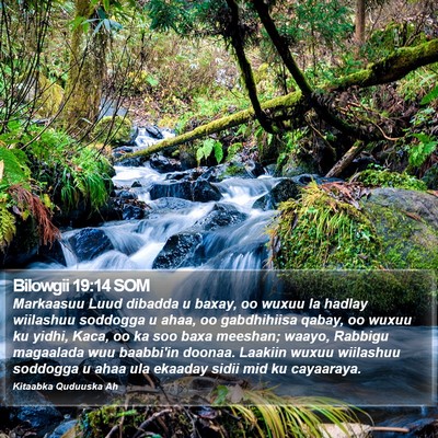 Bilowgii 19:14 SOM Bible Verse Image