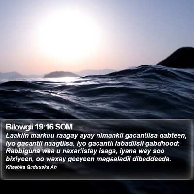 Bilowgii 19:16 SOM Bible Verse Image