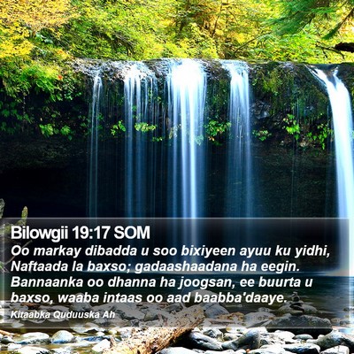 Bilowgii 19:17 SOM Bible Verse Image