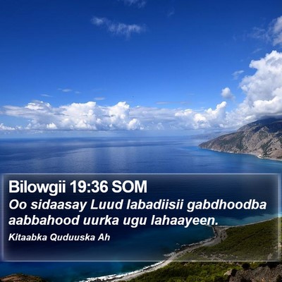 Bilowgii 19:36 SOM Bible Verse Image