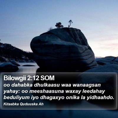 Bilowgii 2:12 SOM Bible Verse Image
