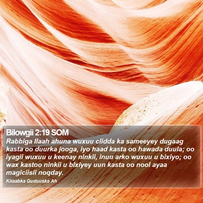 Bilowgii 2:19 SOM Bible Verse Image