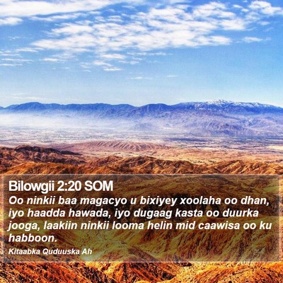 Bilowgii 2:20 SOM Bible Verse Image