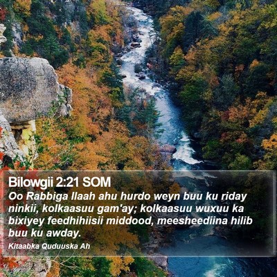 Bilowgii 2:21 SOM Bible Verse Image