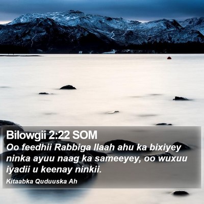 Bilowgii 2:22 SOM Bible Verse Image