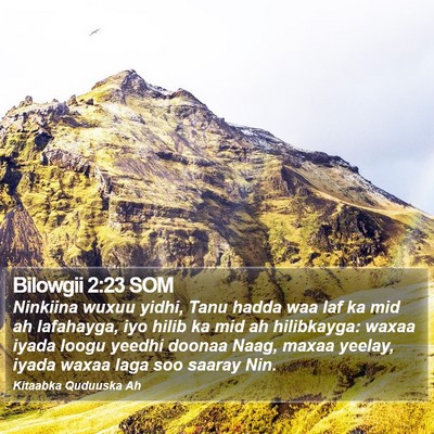 Bilowgii 2:23 SOM Bible Verse Image