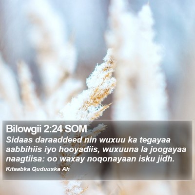 Bilowgii 2:24 SOM Bible Verse Image
