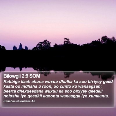 Bilowgii 2:9 SOM Bible Verse Image