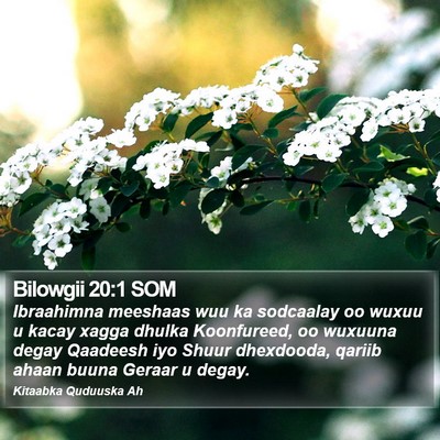 Bilowgii 20:1 SOM Bible Verse Image