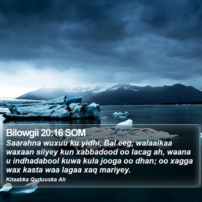 Bilowgii 20:16 SOM Bible Verse Image
