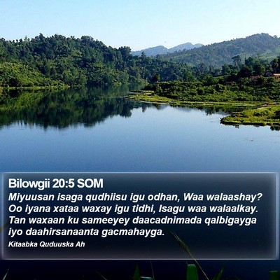 Bilowgii 20:5 SOM Bible Verse Image