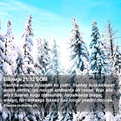 Bilowgii 21:12 SOM Bible Verse Image